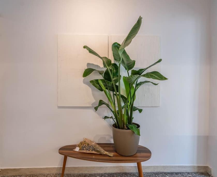Botanical Apartment Athens Exterior photo