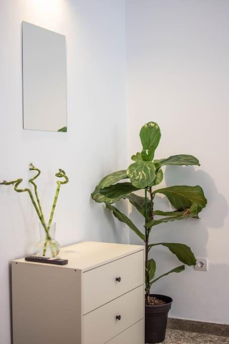 Botanical Apartment Athens Exterior photo